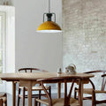 Retro Style Pendant Lighting~3805