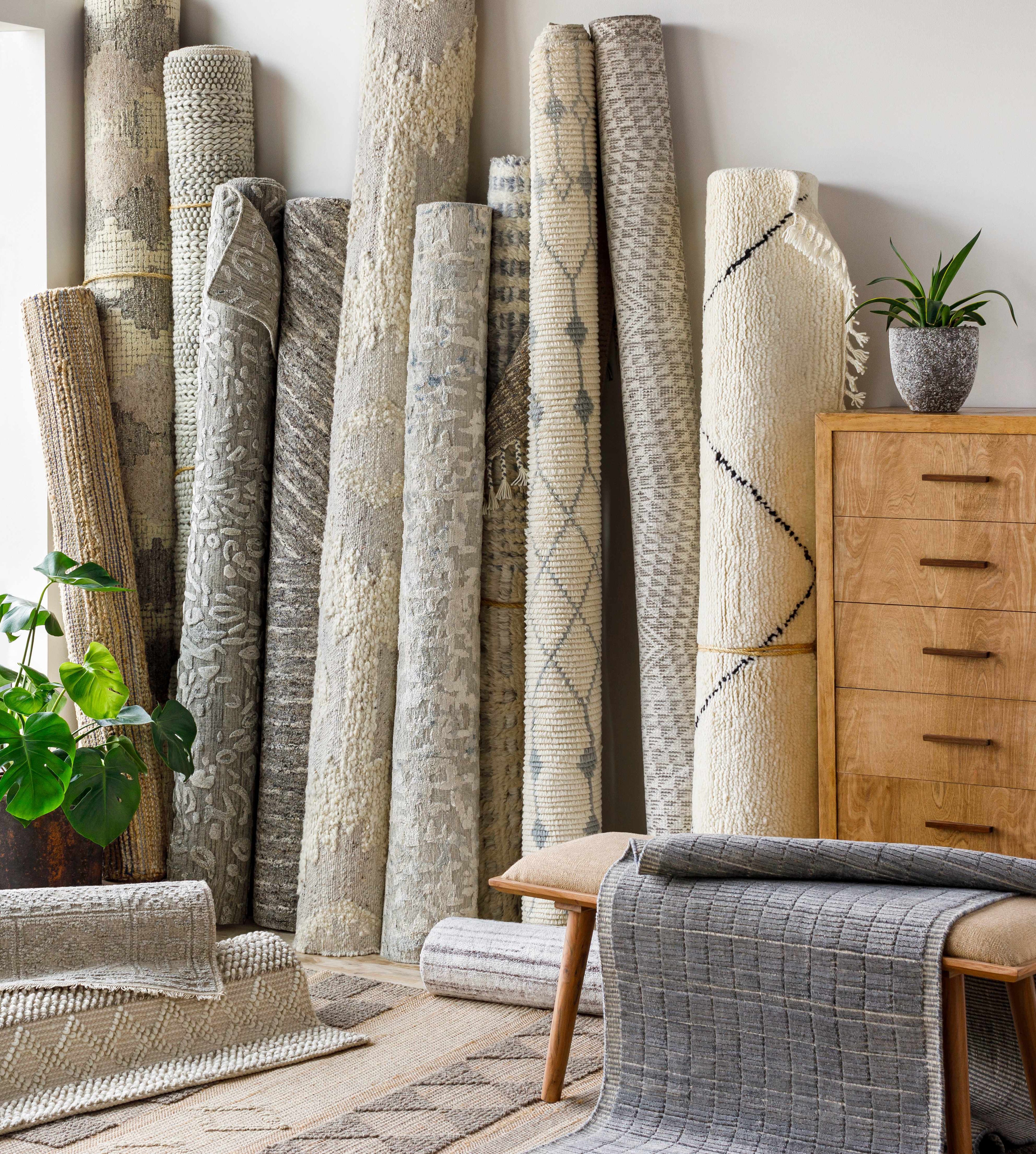 Cayuga Area Rug - Clearance