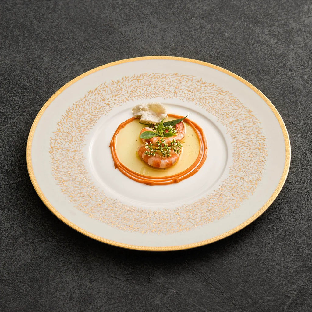 Gold-Pattern Wide-Rim Ceramic Plate — Collector’s Edition Fine Tableware