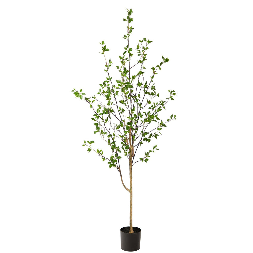 Minimalist Artificial Tree, Citrus Tree 6.5'-0