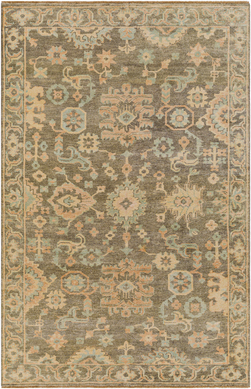 Asotin Hand Knotted Wool Area Rug