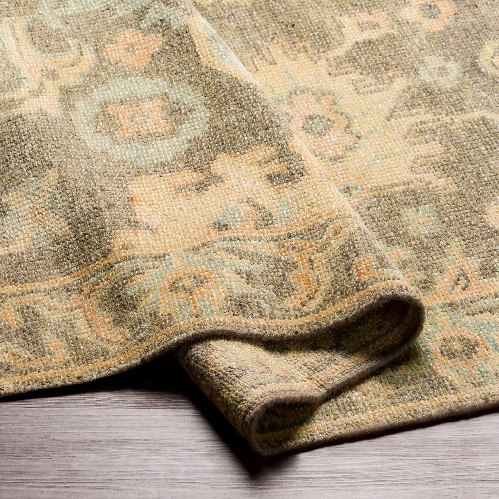 Asotin Hand Knotted Wool Area Rug