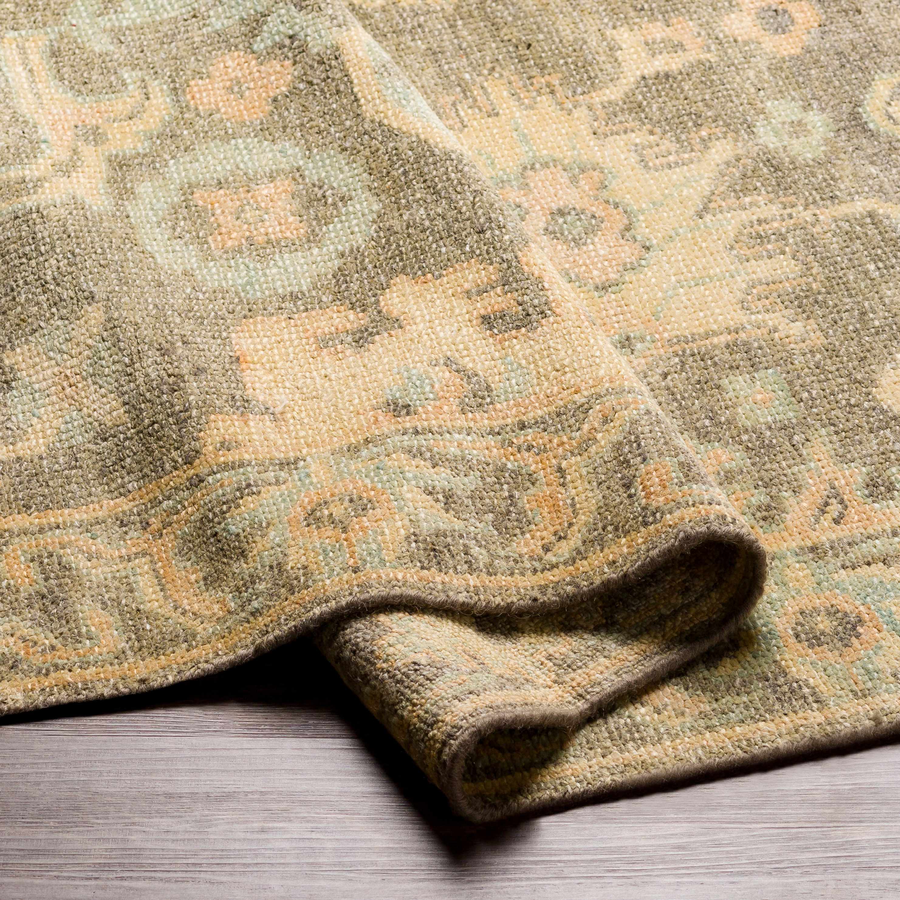 Asotin Hand Knotted Wool Area Rug