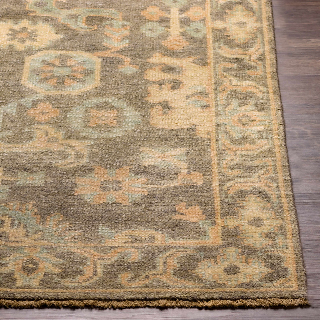 Asotin Hand Knotted Wool Area Rug