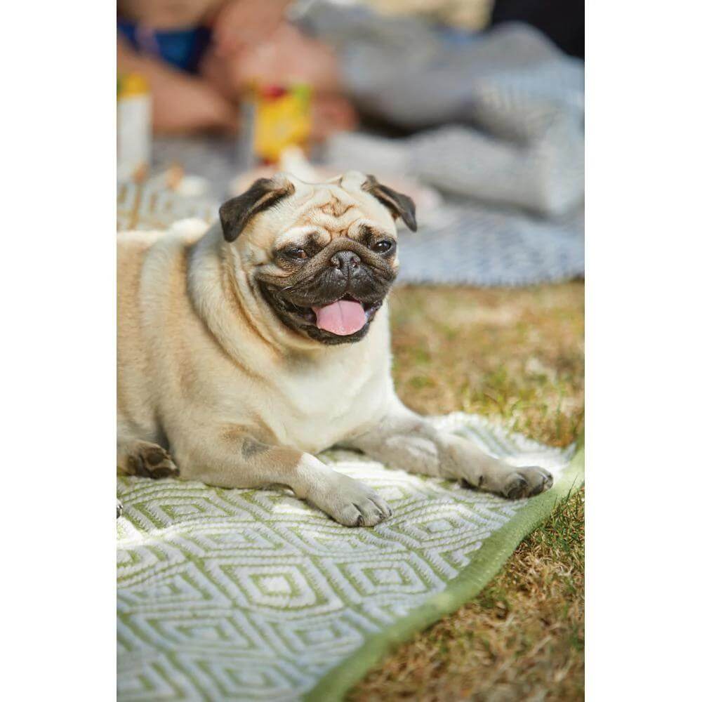 Diamond Green Hand-woven Rug