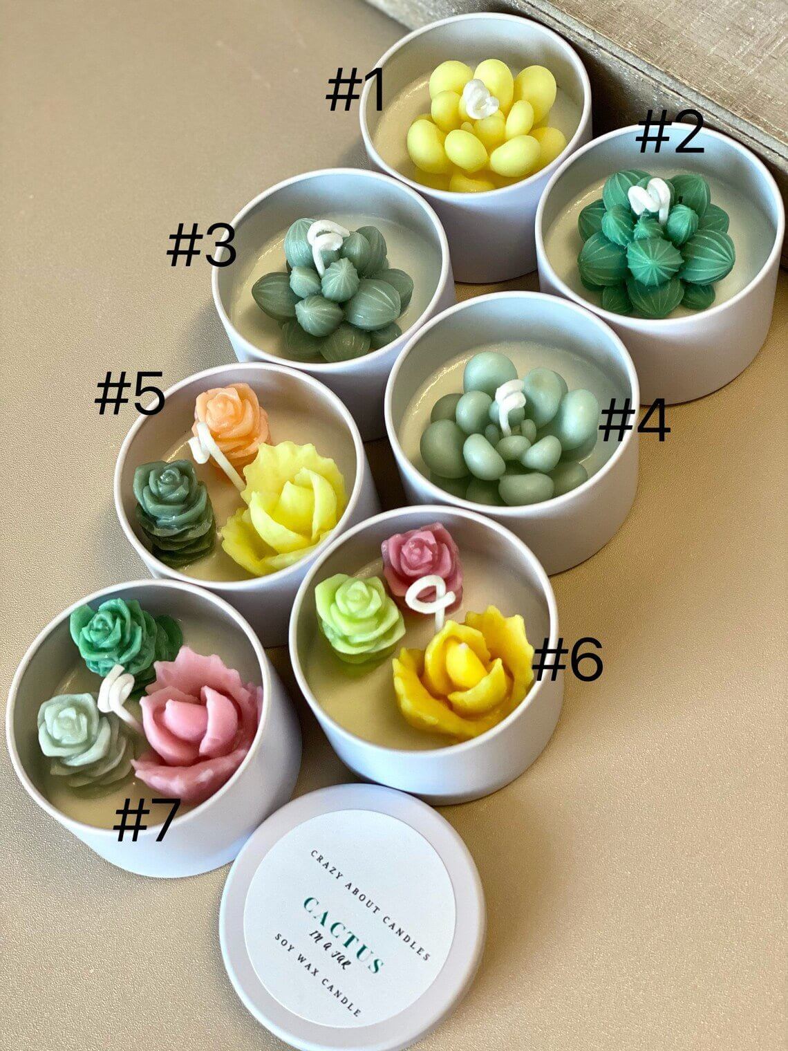 Cactus in a Jar Scented Candle - Handmade Aroma Bliss-3