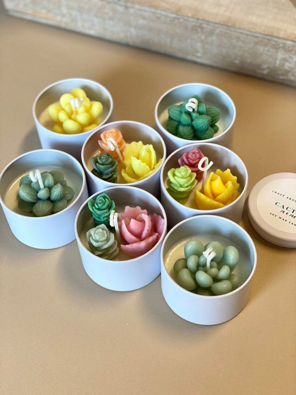 Cactus in a Jar Scented Candle - Handmade Aroma Bliss-1