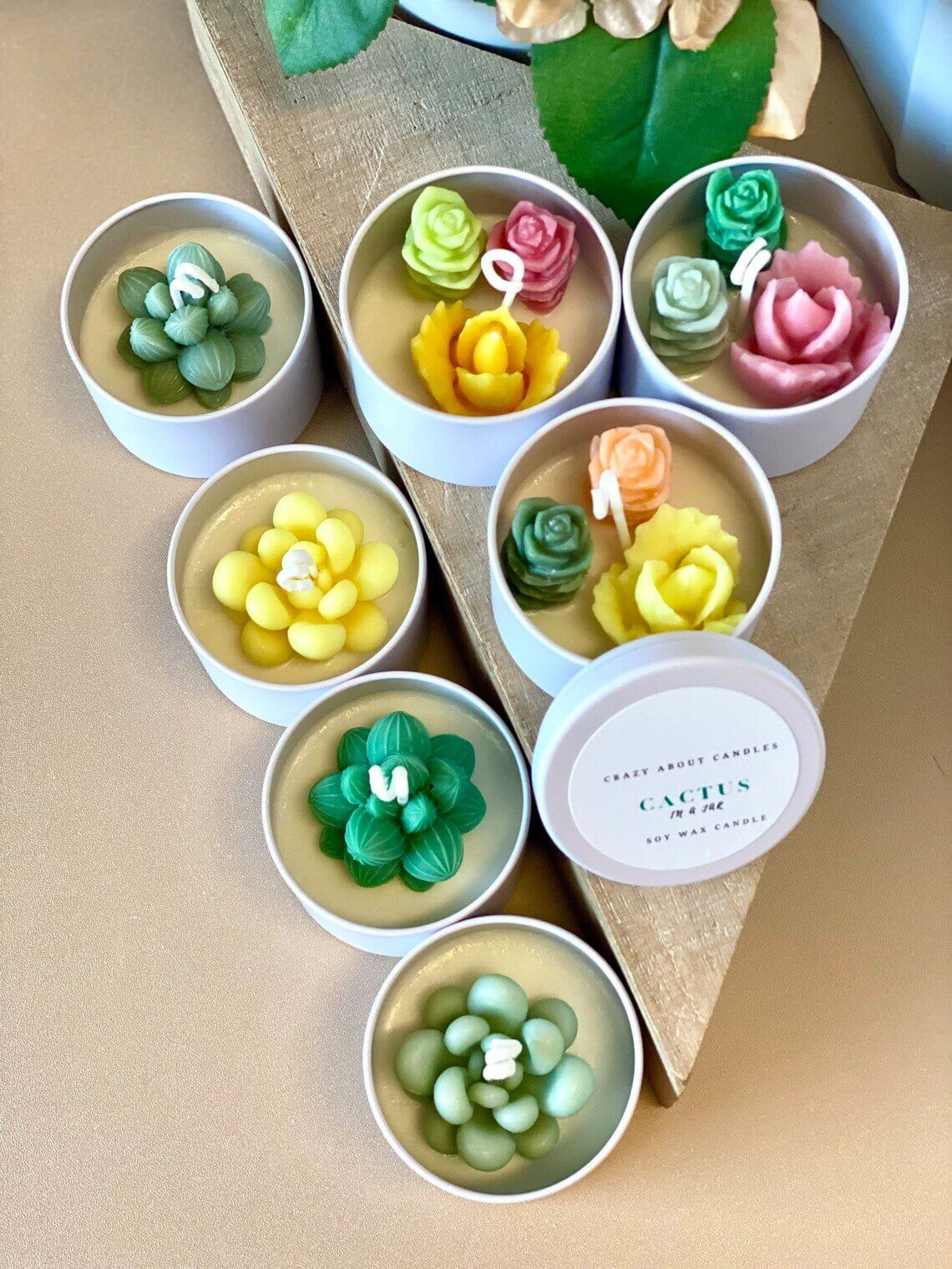 Cactus in a Jar Scented Candle - Handmade Aroma Bliss-0