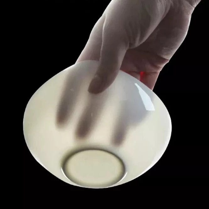 Carrara Bone China Dinner Set - 16 | 24 Piece