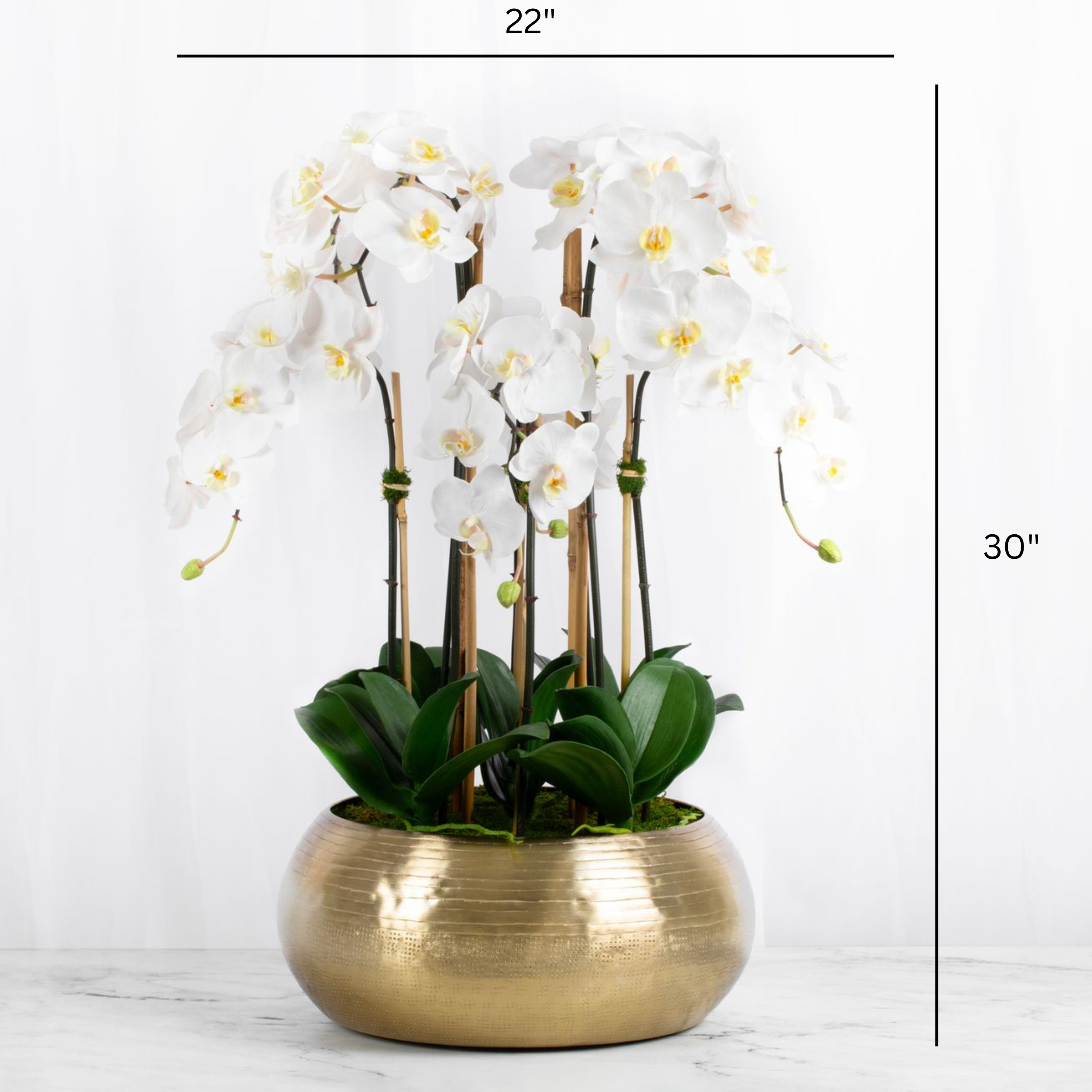 Large Orchid Centerpiece Arrangement in Gold Vase-1