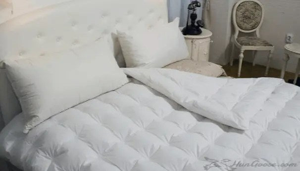 100% white 800fp Hungarian Goose Down
