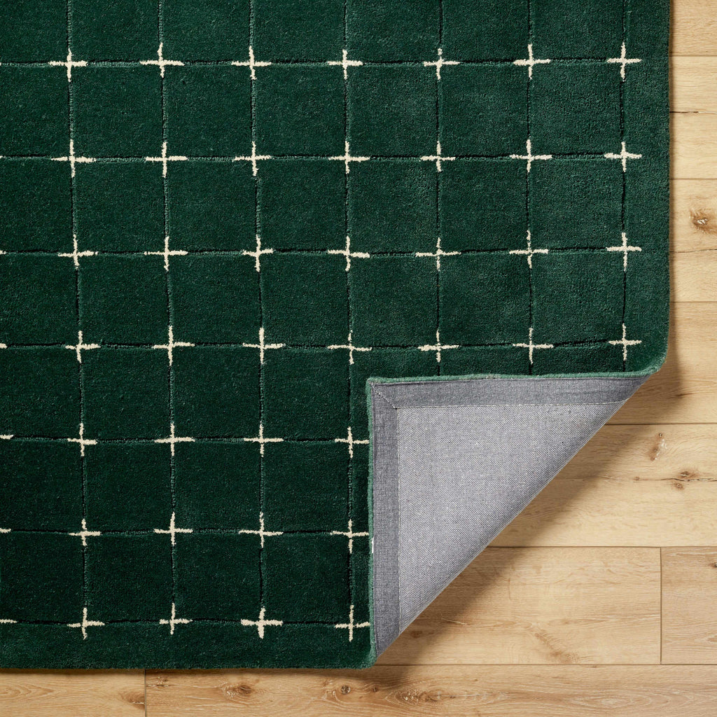 Sanvi Green Tufted Hand Tufted Wool Area Rug