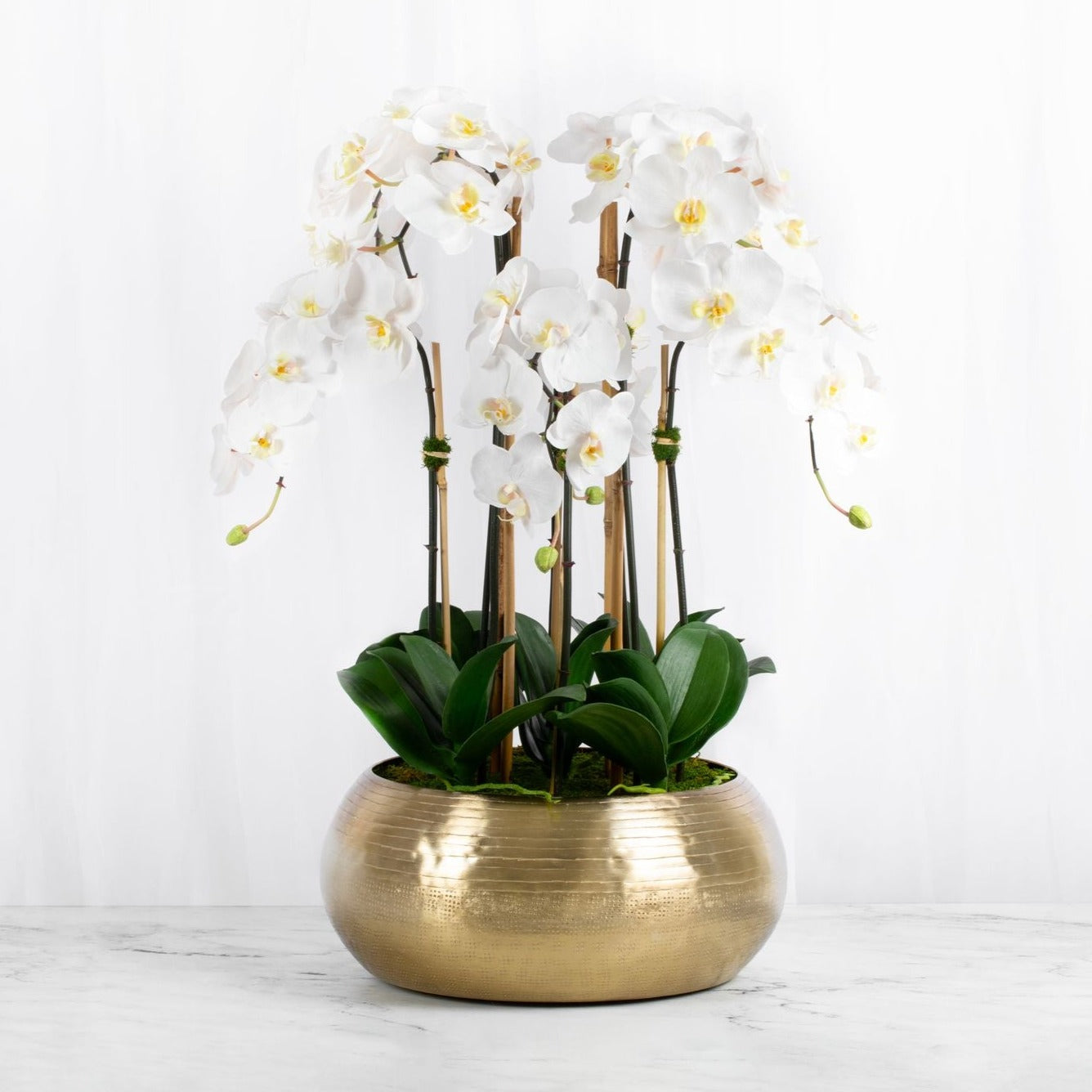 Large Orchid Centerpiece Arrangement in Gold Vase-0